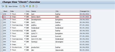 sap business client 7.70|what is sap business client.